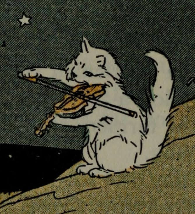 violin cat